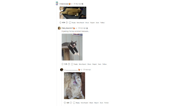 comments on Reddit with photos